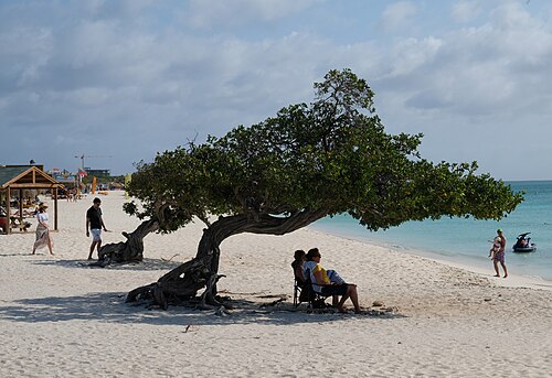 Foto di Aruba