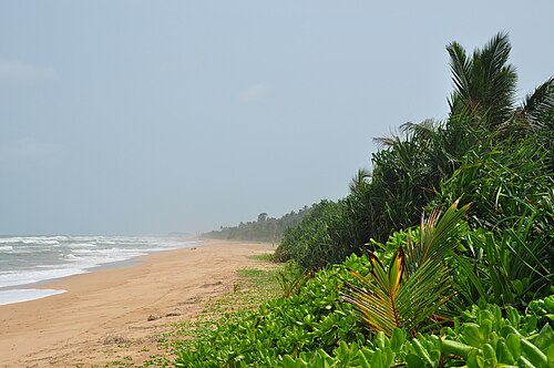 Foto de Bentota