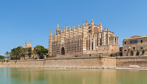 Zdjęcie: Palma